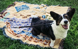 Ella, group mascot