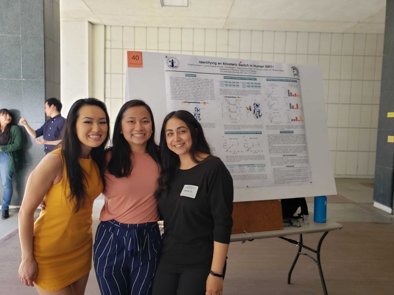 SRD 2019 2